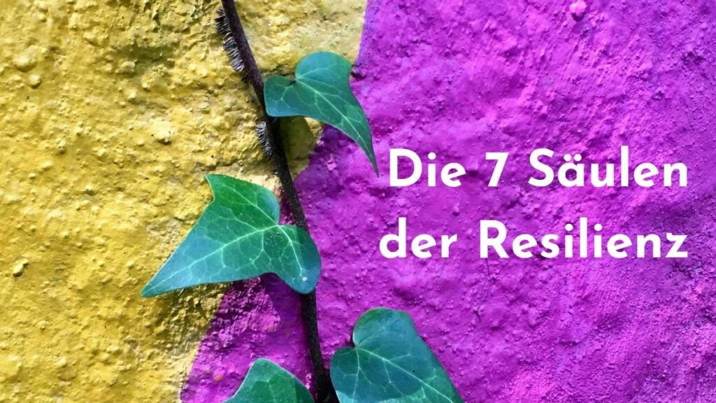 Die 7 Säulen der Resilienz: Deine innere Grundhaltung für emotionale Widerstandskraft